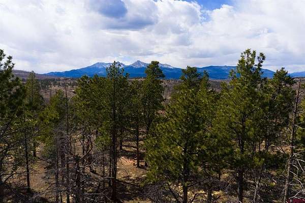 2.2 Acres of Residential Land for Sale in Fort Garland, Colorado