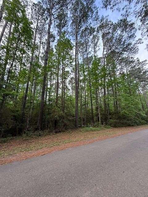 0.28 Acres of Residential Land for Sale in Hemphill, Texas