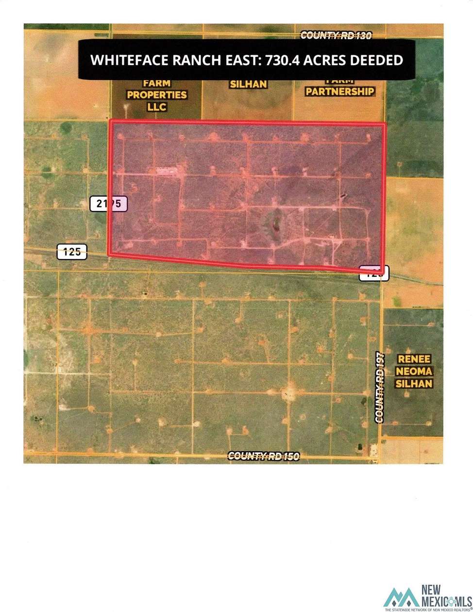 730 Acres of Land for Sale in Whiteface, Texas