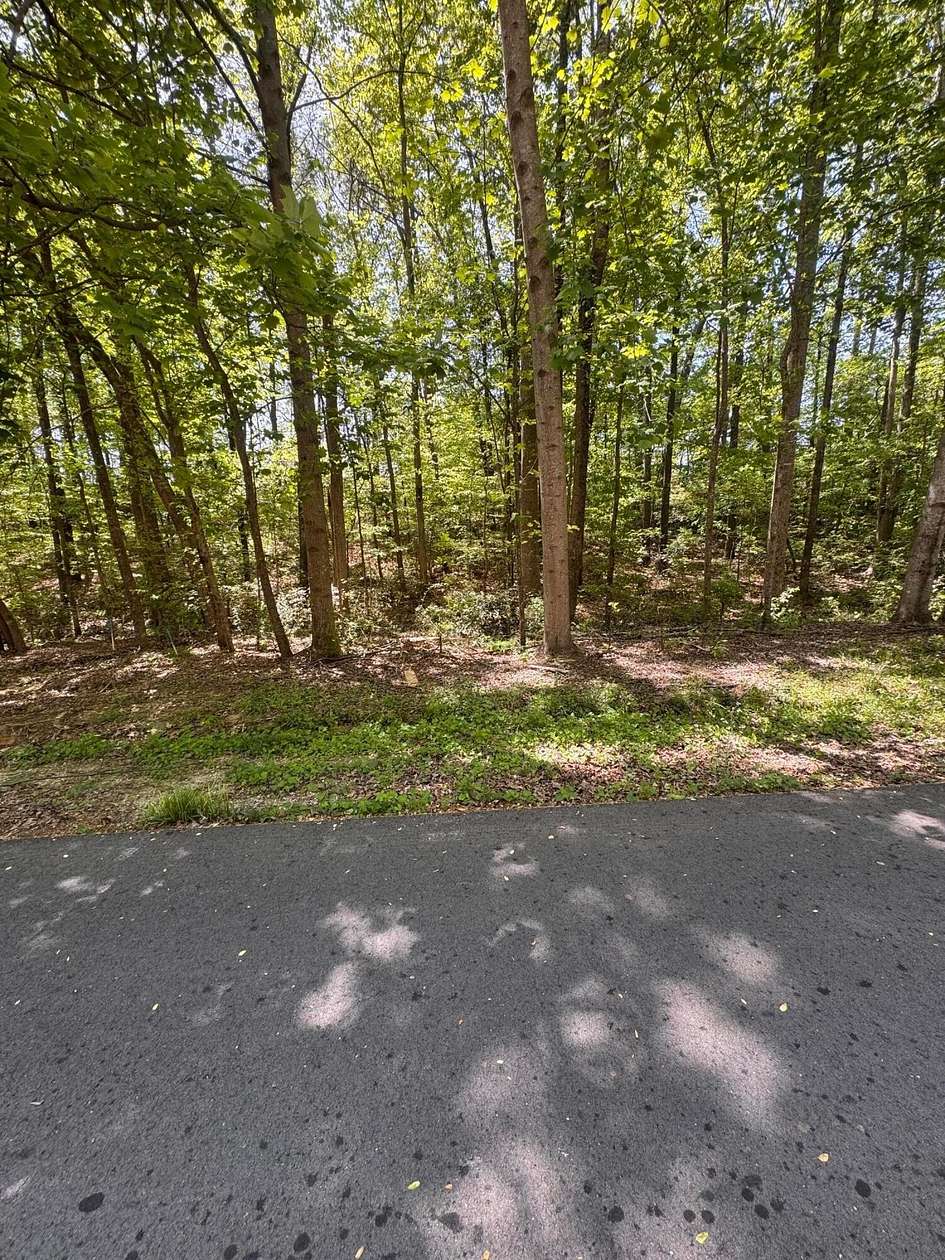 0.6 Acres of Residential Land for Sale in Jasper, Alabama