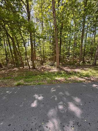 0.6 Acres of Residential Land for Sale in Jasper, Alabama