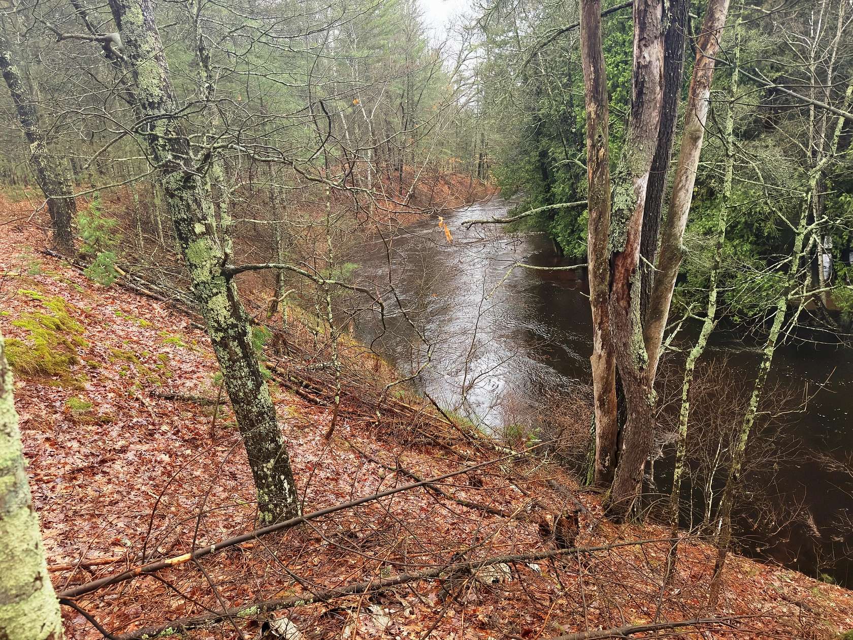 13.4 Acres of Land for Sale in Irons, Michigan