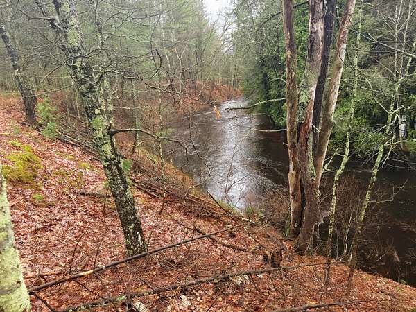 13.4 Acres of Land for Sale in Irons, Michigan