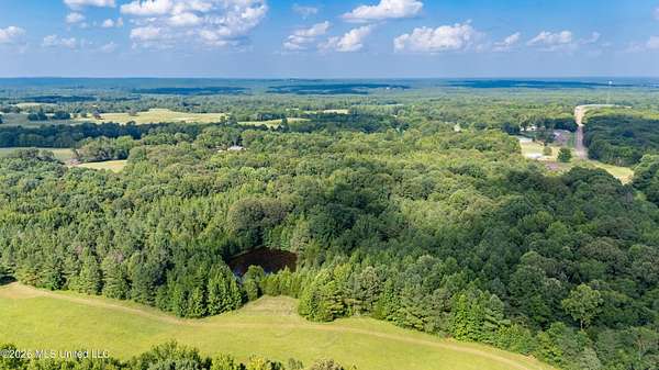 28 Acres of Recreational & Residential Land for Sale in Waterford, Mississippi