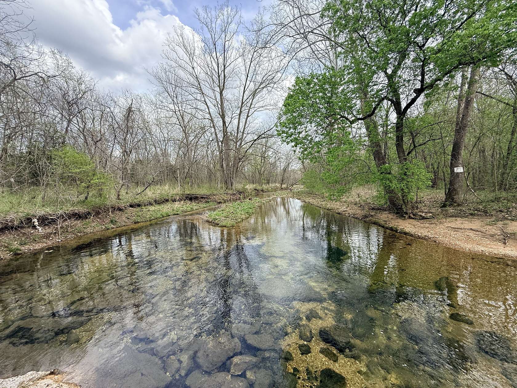 41.6 Acres of Recreational Land for Sale in Edwards, Missouri