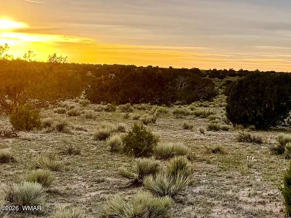 37.3 Acres of Recreational & Residential Land for Sale in St. Johns, Arizona
