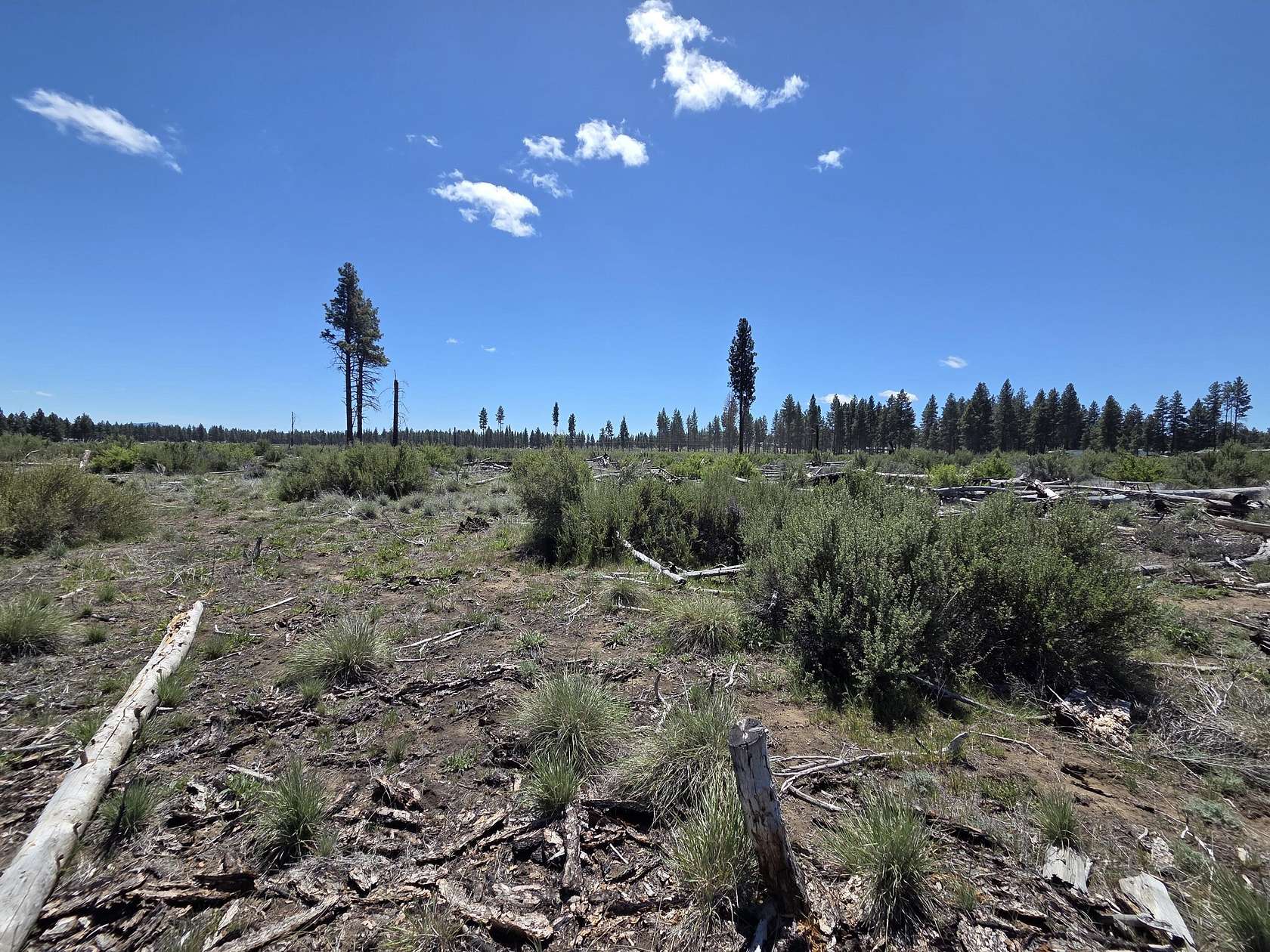2.5 Acres of Residential Land for Sale in Chiloquin, Oregon