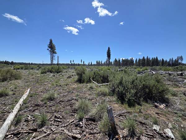 2.5 Acres of Residential Land for Sale in Chiloquin, Oregon