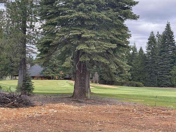 0.31 Acres of Residential Land for Sale in Lake Almanor Peninsula, California