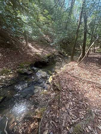 6.56 Acres of Land for Sale in Blairsville, Georgia