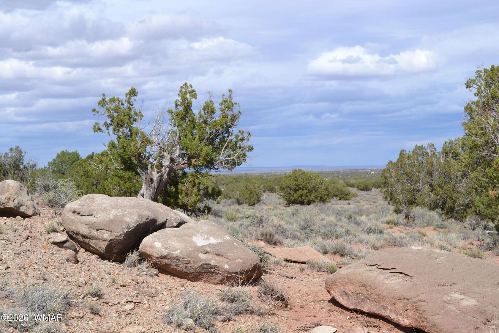 38.7 Acres of Recreational & Residential Land for Sale in Concho, Arizona