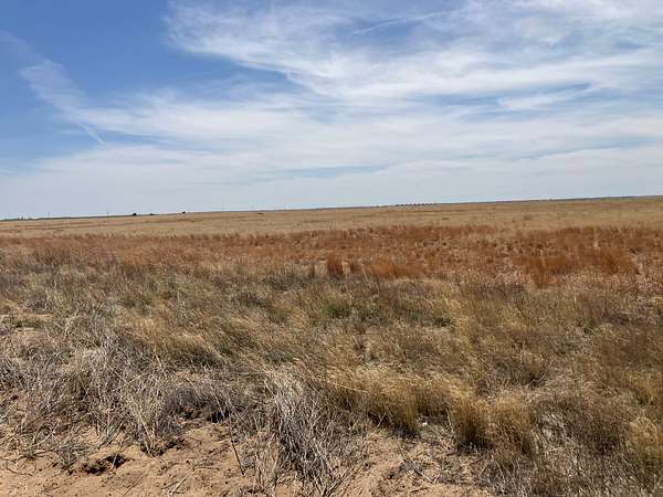 160 Acres of Agricultural Land for Sale in Rolla, Kansas