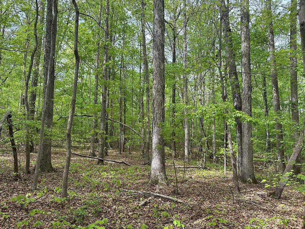 1.86 Acres of Residential Land for Sale in Clarksville, Virginia