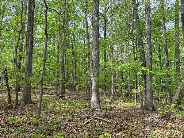 1.86 Acres of Residential Land for Sale in Clarksville, Virginia