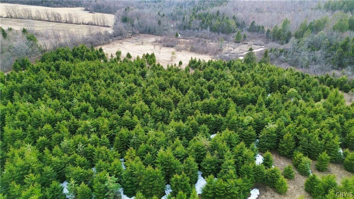 10.7 Acres of Recreational & Residential Land for Sale in Little Falls, New York