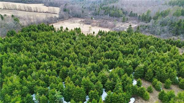 10.7 Acres of Recreational & Residential Land for Sale in Little Falls, New York