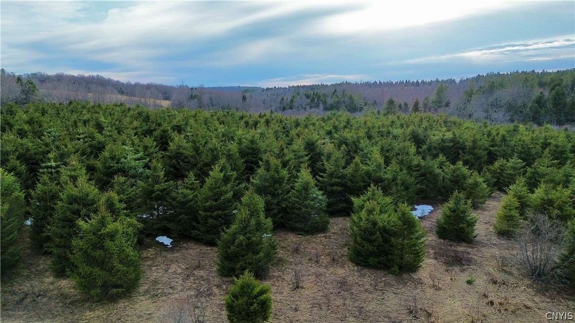 11 Acres of Recreational & Residential Land for Sale in Little Falls, New York