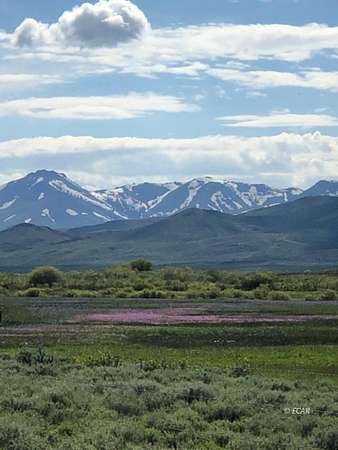 1 Acre of Land for Sale in Elko, Nevada
