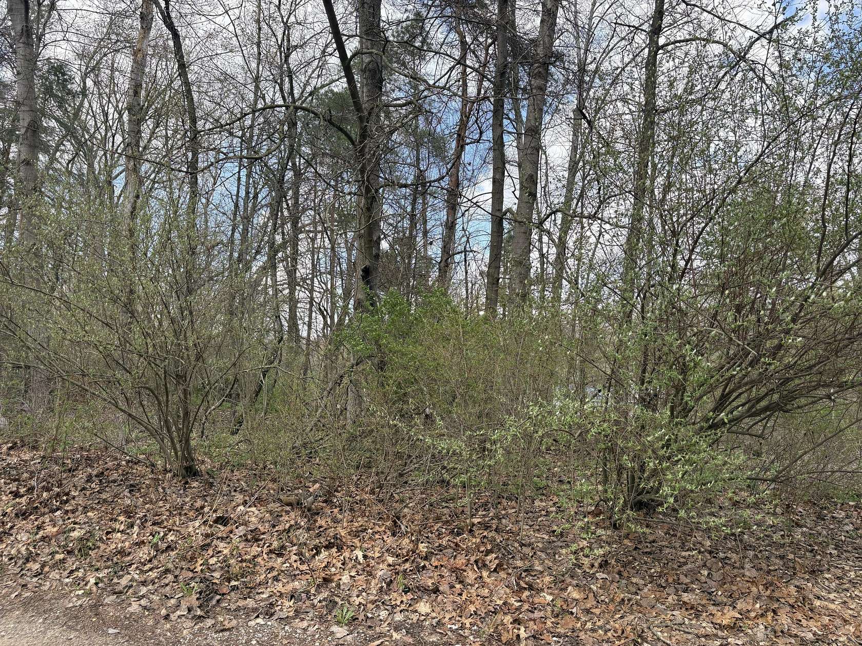 0.14 Acres of Land for Sale in Reading, Michigan