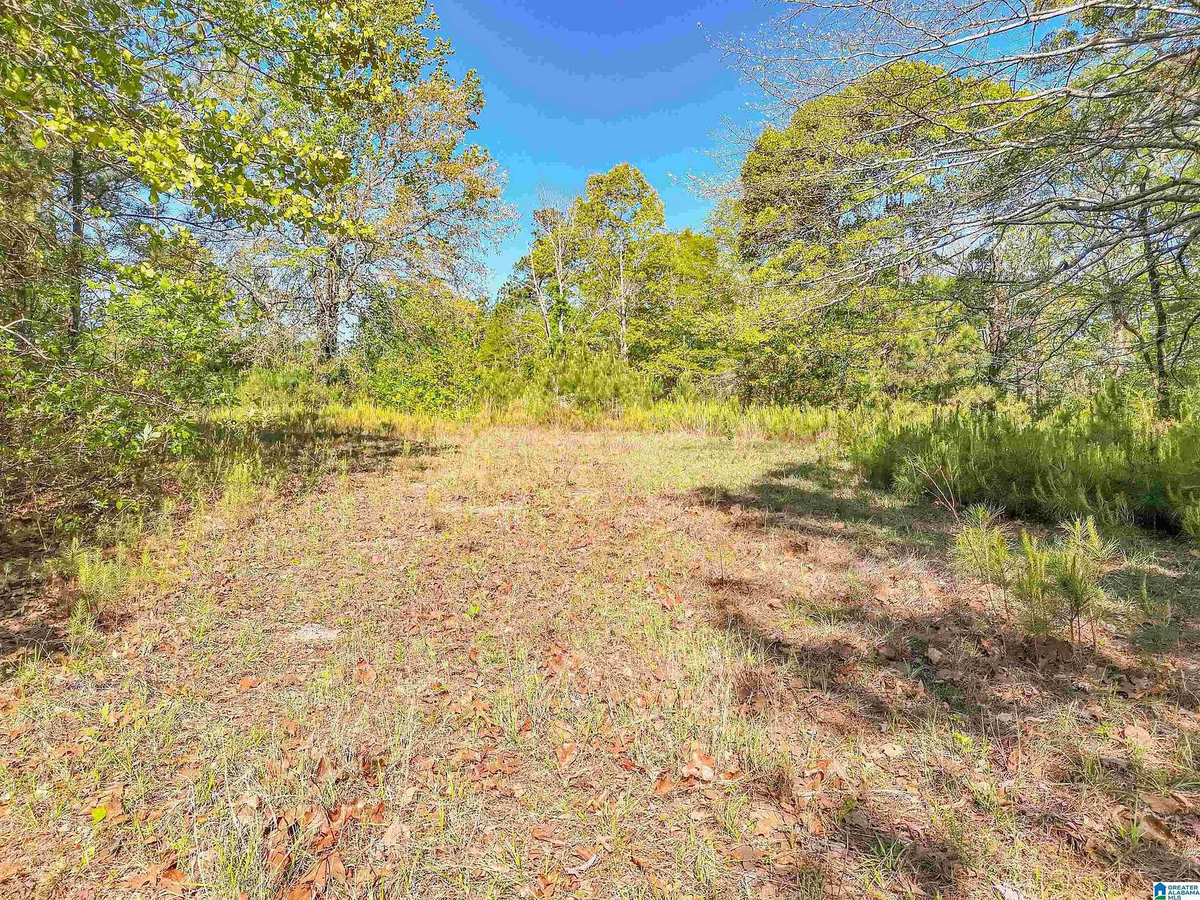3 Acres of Residential Land for Sale in Billingsley, Alabama