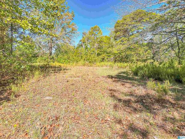 3 Acres of Residential Land for Sale in Billingsley, Alabama
