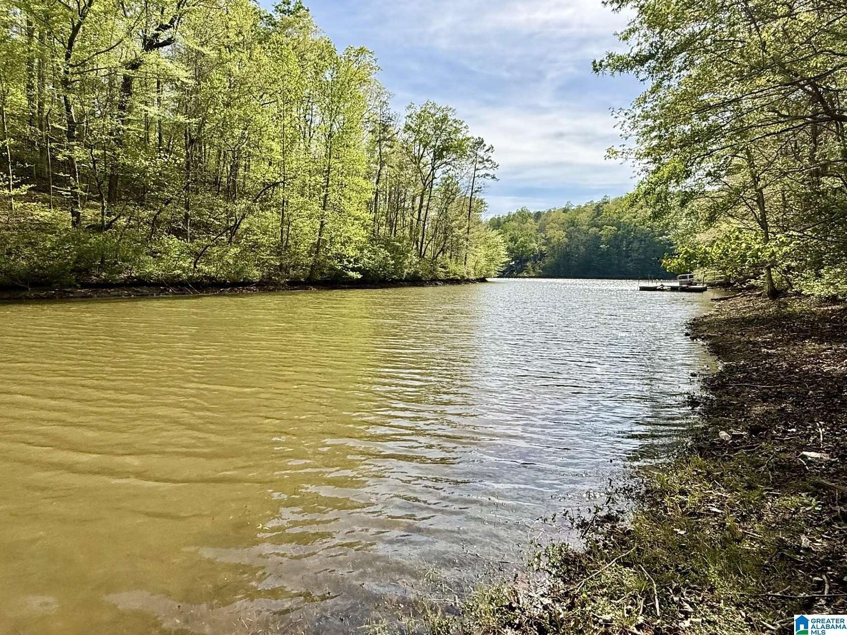 1.15 Acres of Residential Land for Sale in Wedowee, Alabama