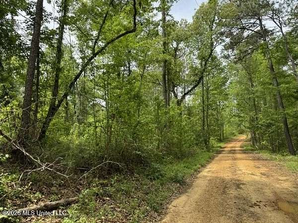 243 Acres of Recreational Land for Sale in Meadville, Mississippi