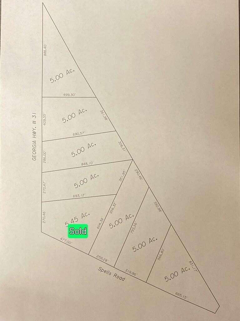 35 Acres of Land for Sale in Lakeland, Georgia