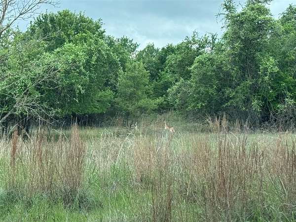 21.2 Acres of Land for Sale in Weatherford, Texas