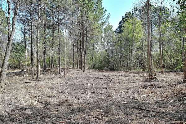 1 Acre of Residential Land for Sale in Nash, Texas