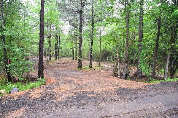 1 Acre of Residential Land for Sale in Nash, Texas