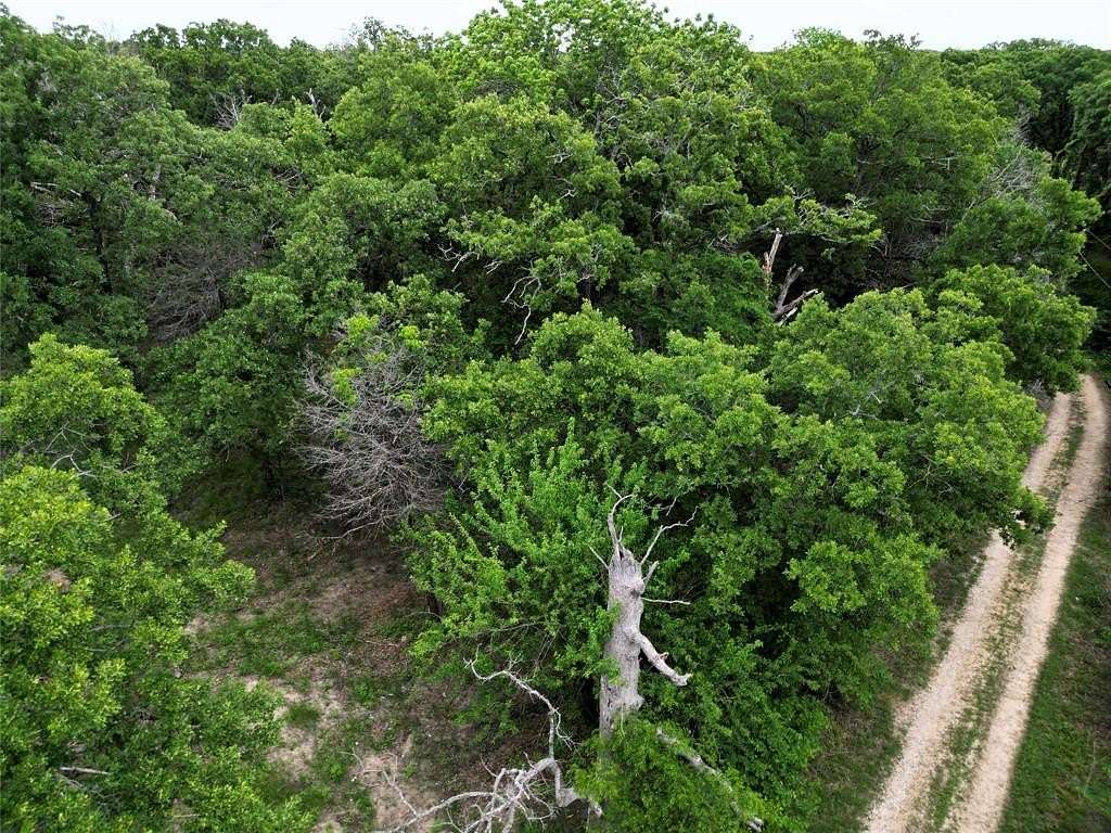 0.26 Acres of Residential Land for Sale in Quinlan, Texas
