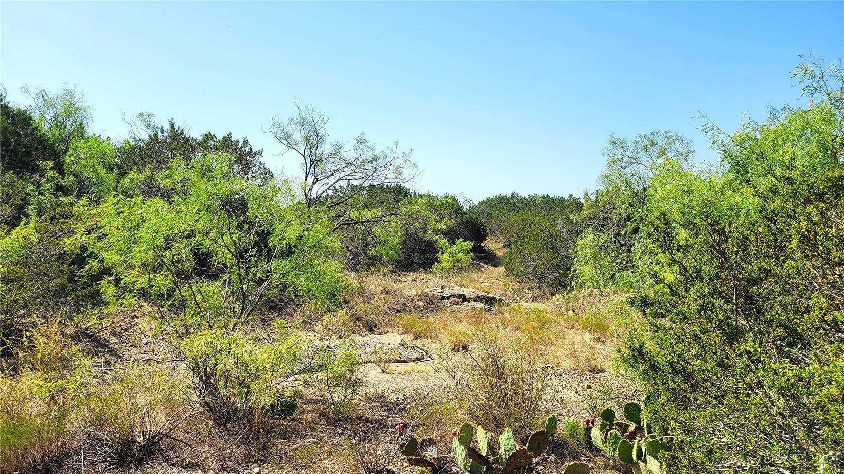 300 Acres of Land for Sale in Bangs, Texas