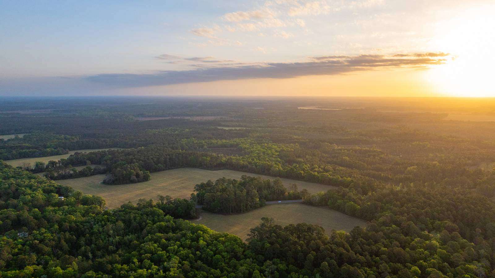 333 Acres of Land for Auction in Oakfield, Georgia