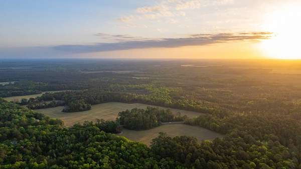 333 Acres of Land for Auction in Oakfield, Georgia