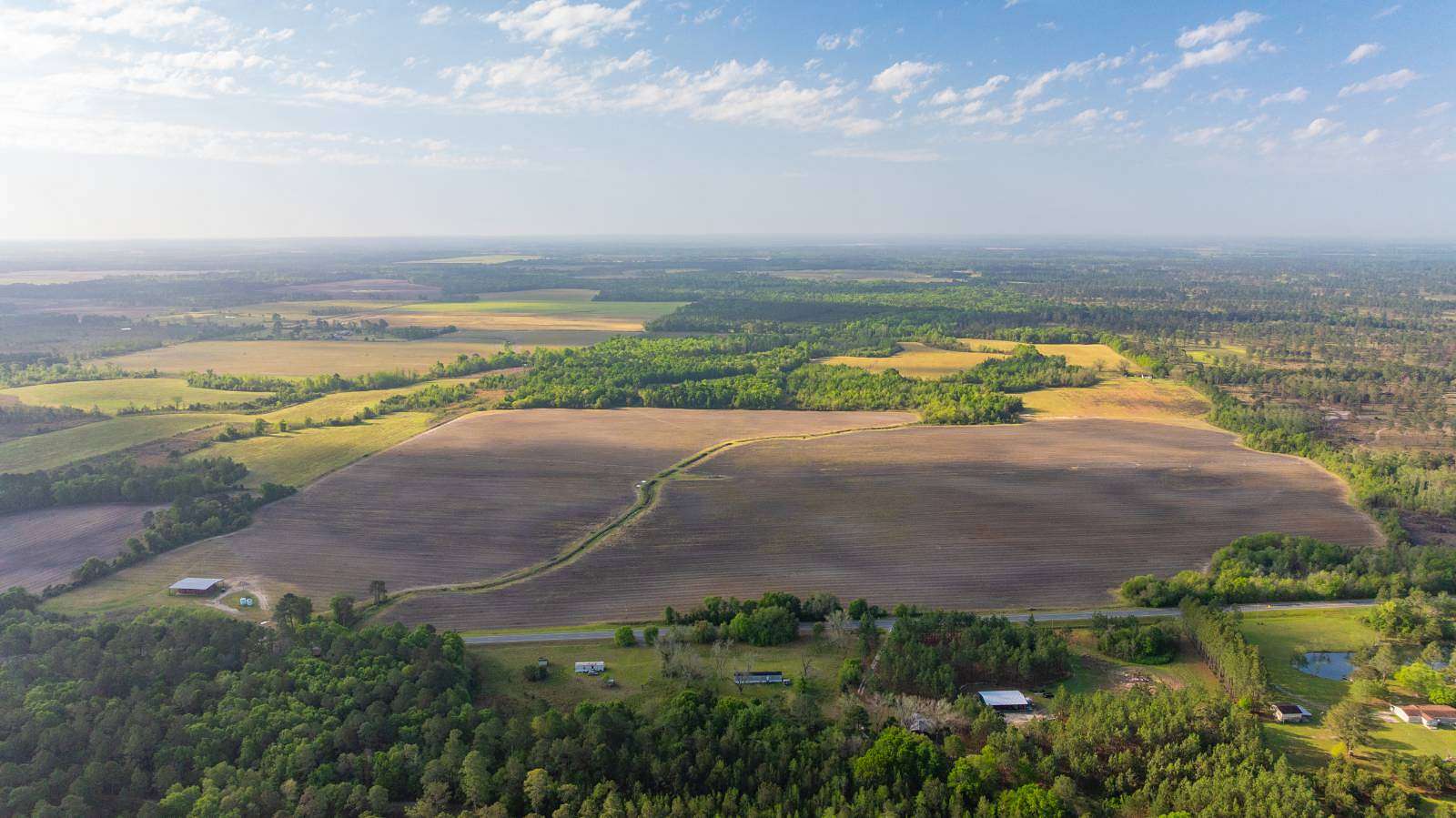 258 Acres of Land for Auction in Oakfield, Georgia