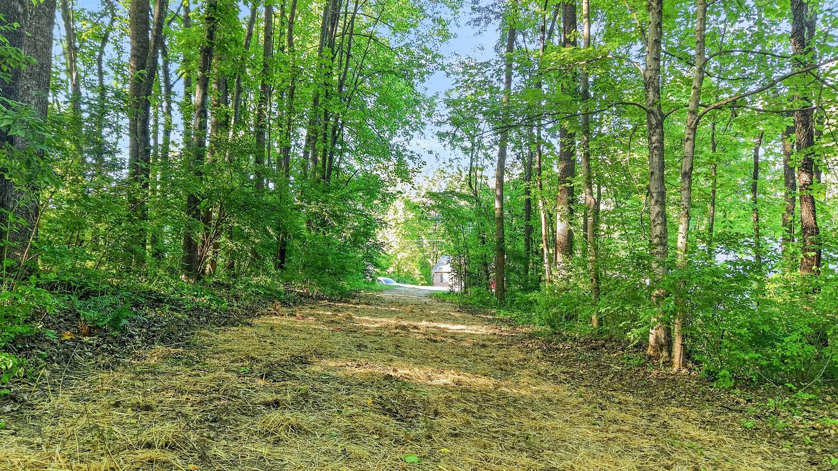 3.16 Acres of Residential Land for Sale in Springfield, Tennessee