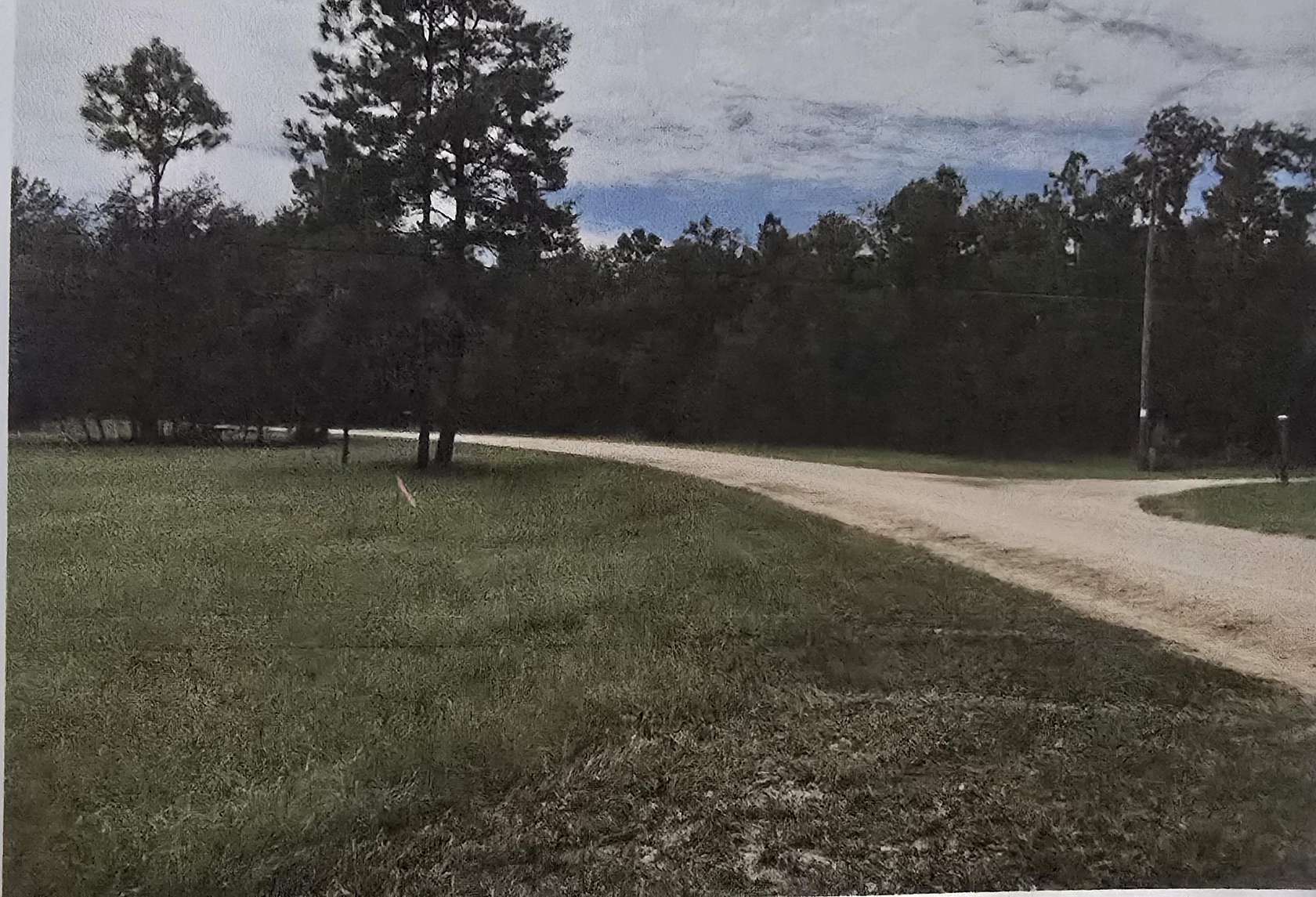 3.16 Acres of Residential Land for Sale in Perry, Florida