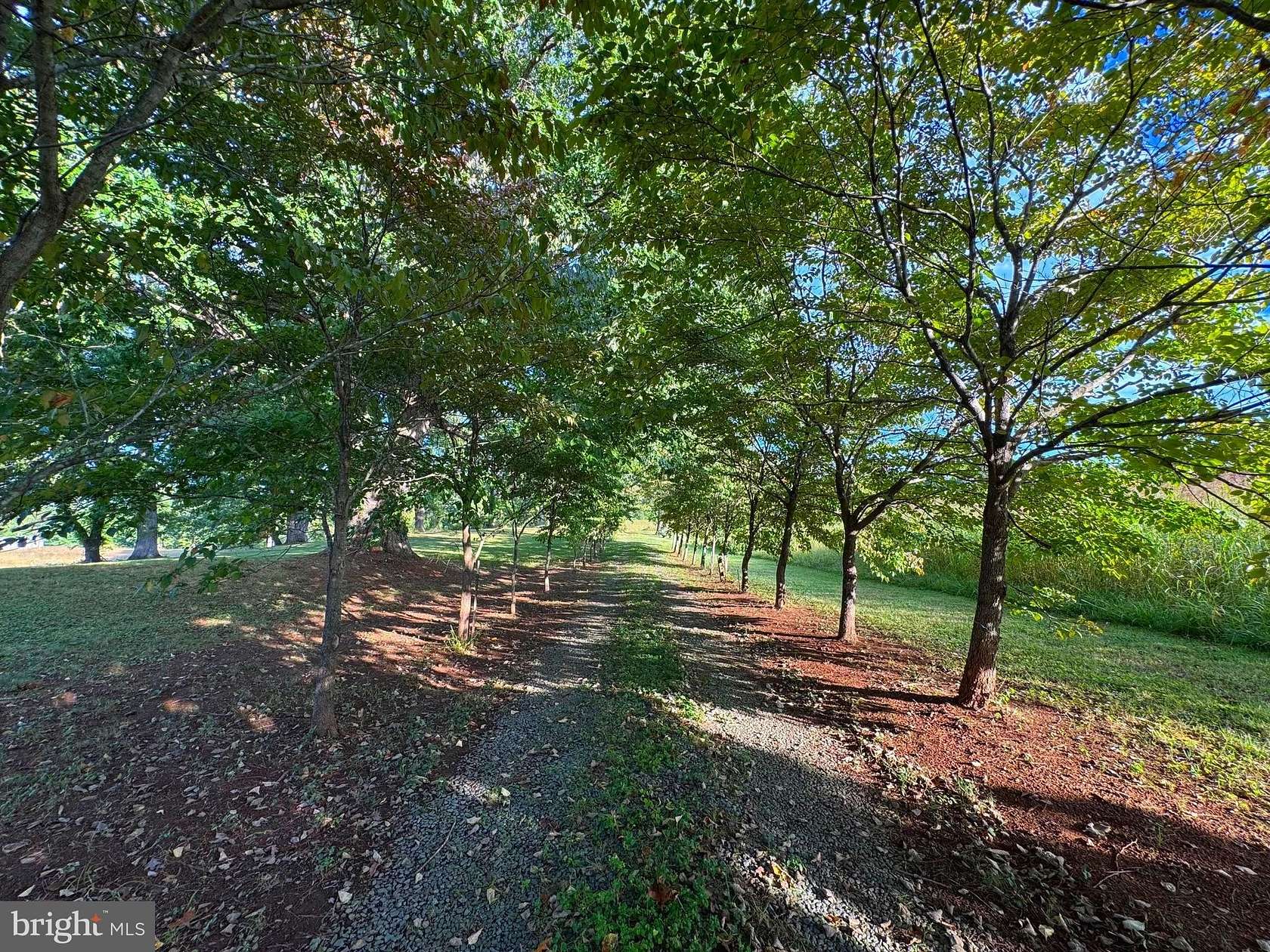 18.3 Acres of Land for Sale in Bumpass, Virginia