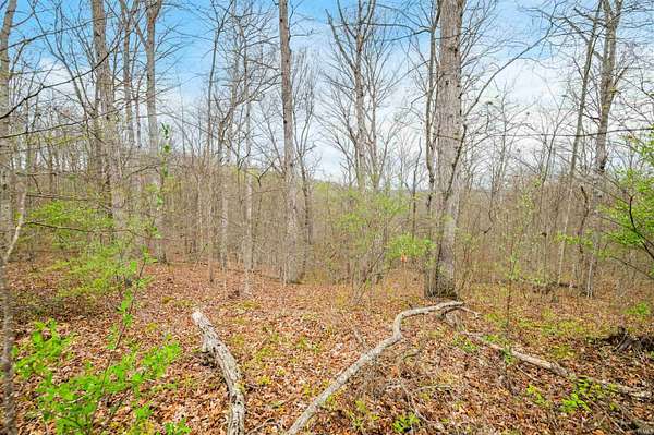 35.5 Acres of Recreational & Residential Land for Sale in Nashville, Indiana