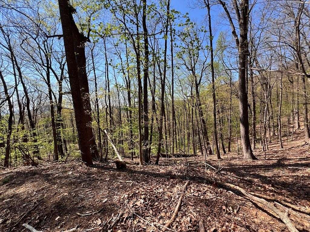 1 Acre of Residential Land for Sale in Jasper, Georgia