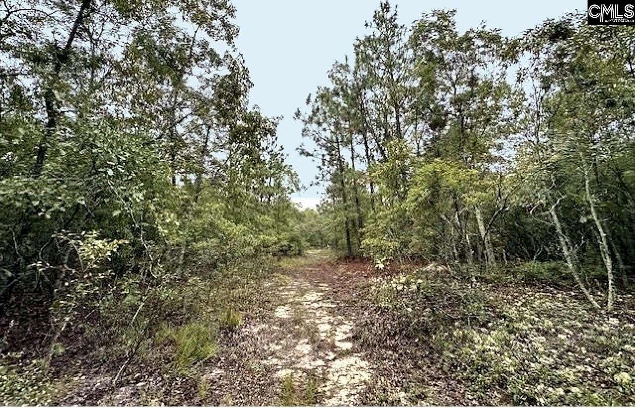 10.5 Acres of Land for Sale in Gaston, South Carolina