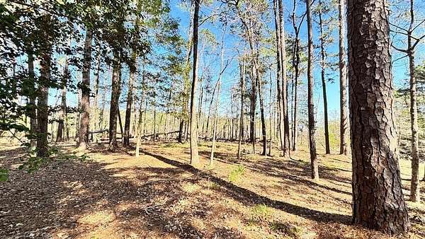 2.44 Acres of Land for Sale in Broaddus, Texas