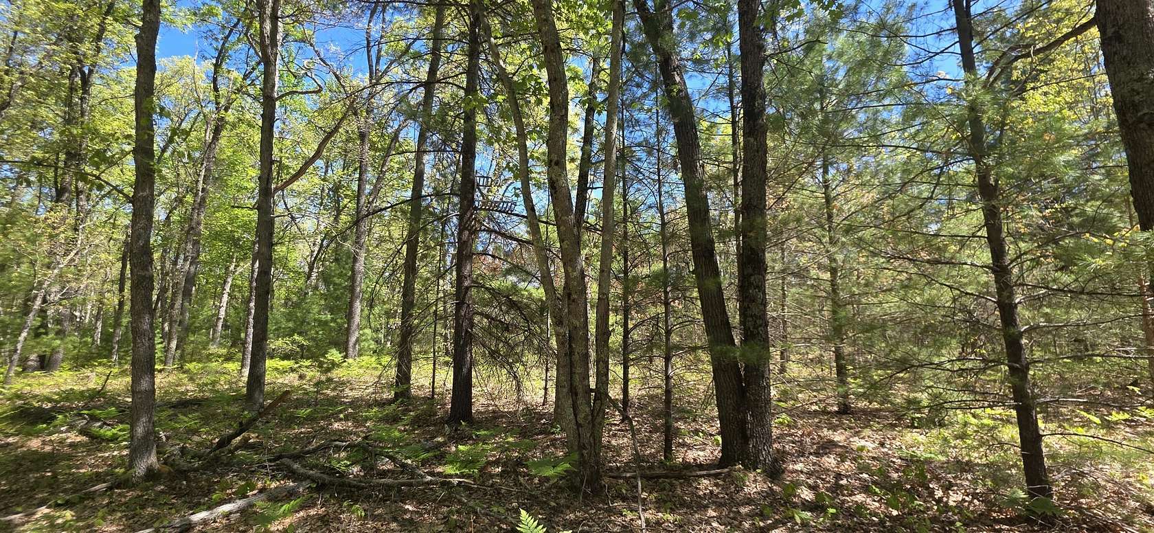 10 Acres of Recreational Land for Sale in Free Soil, Michigan