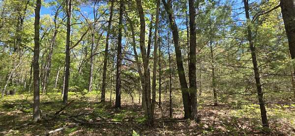 10 Acres of Recreational Land for Sale in Free Soil, Michigan