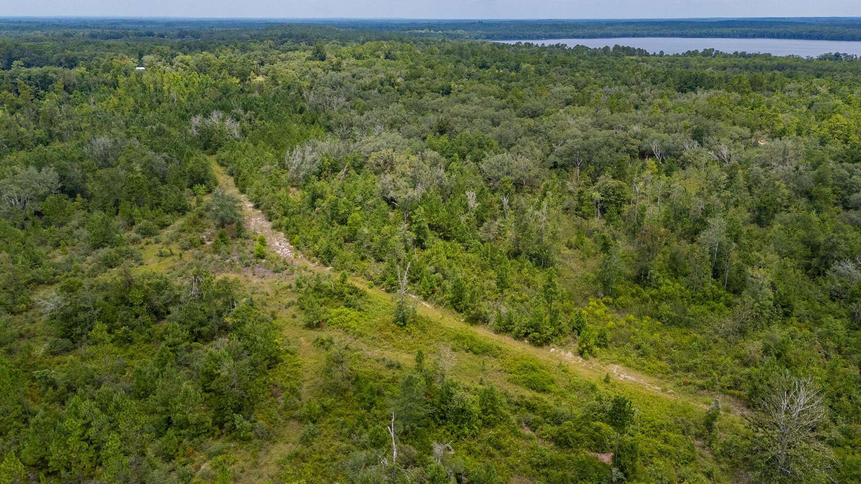100 Acres of Recreational & Residential Land for Sale in Vernon, Florida