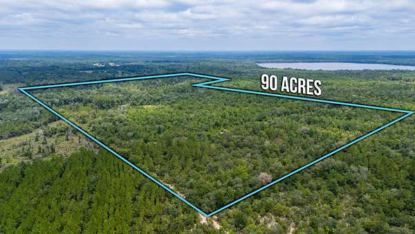 90 Acres of Land for Sale in Vernon, Florida