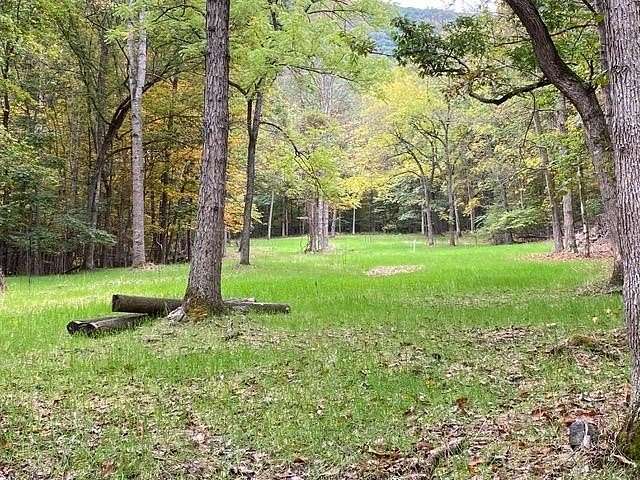 81.5 Acres of Land for Sale in Fulks Run, Virginia