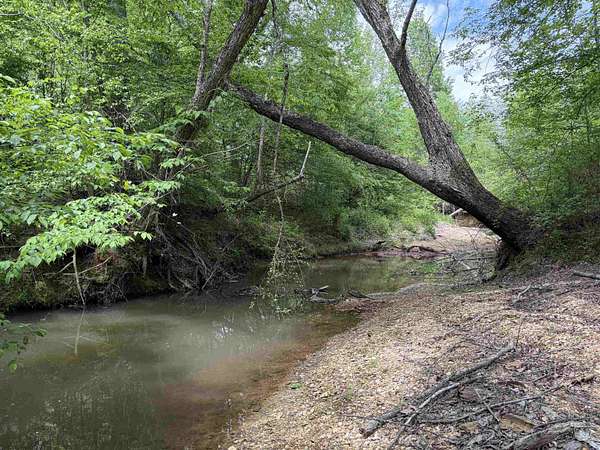 10 Acres of Residential Land for Sale in Adamsville, Tennessee