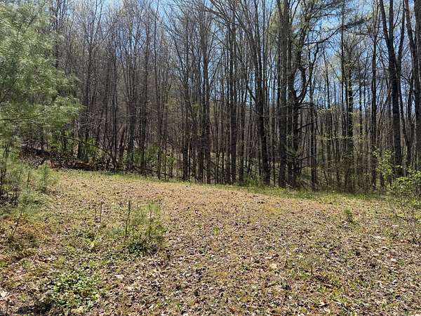 27.4 Acres of Land for Sale in Meadow Bridge, West Virginia
